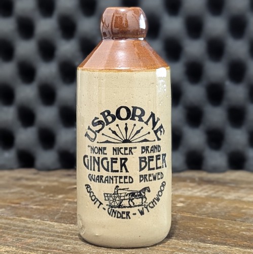 Usborne ginger beer - usborne,